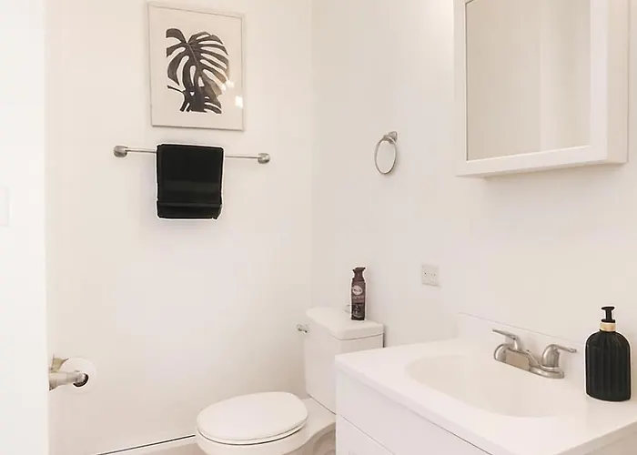 Bright 2br Near Ohare, Comfortable, Cozy Apartment